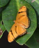 DSC_3688b.jpg