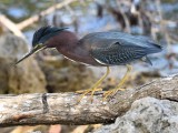 DSC_3702b.jpg