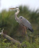 DSC_1435b.jpg