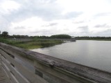 IMG_4256b.jpg