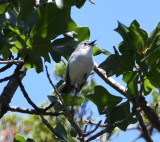 DSC_8506b.jpg