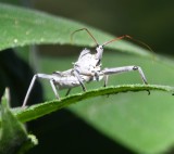 DSC_8812b.jpg