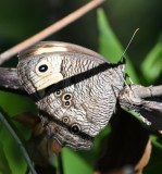 DSC_8825b.jpg