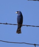 DSC_8854b.jpg