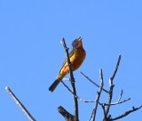 DSC_8920b.jpg