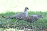 DSC_5787b.jpg