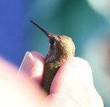 DSC_0007b.jpg