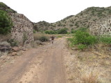 IMG_6046b.JPG