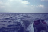300_Scan006627a.jpg