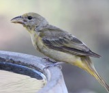 DSC_1489b.jpg