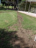 IMG_20190910_102914b.jpg