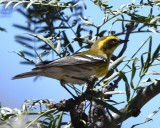 DSC_2056b.jpg