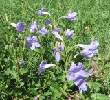 IMG_6299b.jpg