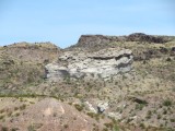 IMG_6314b.jpg