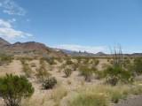 IMG_6317b.jpg