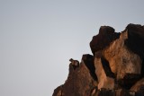 DSC_2568b.jpg