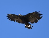 DSC_2708b.jpg