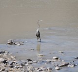 DSC_2779b.jpg