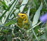 DSC_3032b.jpg