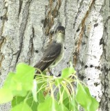 DSC_3088b.jpg