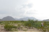 IMG_6511b.jpg