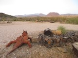 IMG_6524b.jpg