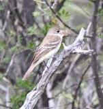 DSC_3479b.jpg