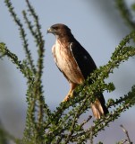 DSC_3830b.jpg