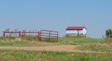 IMG_6613b.jpg