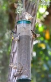 DSC_4439b.jpg