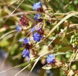 DSC_4664b.jpg