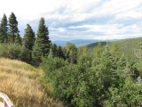 IMG_6777b.jpg