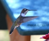 DSC_5188b.jpg