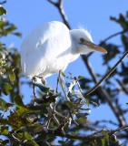 DSC_6693b.jpg