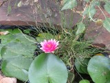 IMG_7162b.jpg