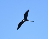 DSC_4486b.jpg