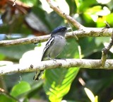 DSC_4701b.jpg