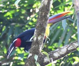 DSC_4781b.jpg