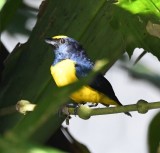 DSC_4824b.jpg