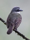 DSC_5097b.jpg