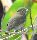 DSC_5142b.jpg