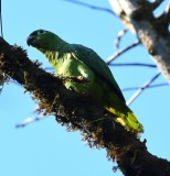 DSC_6238b.jpg