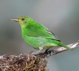 DSC_6779b.jpg