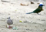 DSC_7764b.jpg