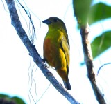 DSC_8094b.jpg