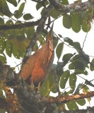 DSC_8566b.jpg