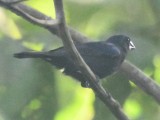 DSC_8710b.jpg