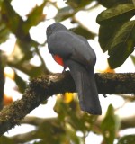 DSC_8847b.jpg
