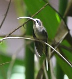 DSC_8886b.jpg