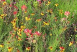 IMG_0932b.jpg
